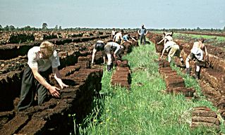 Jugendliche bei der Arbeit im Moor Mitte der 1960er-Jahre. Jugendliche bei der Arbeit im Moor Mitte der 1960er-Jahre.