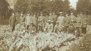 Gruppenaufnahme von Soldaten auf einem Kohlfeld in Freistatt während des Ersten Weltkriegs. Gruppenaufnahme von Soldaten auf einem Kohlfeld in Freistatt während des Ersten Weltkriegs.